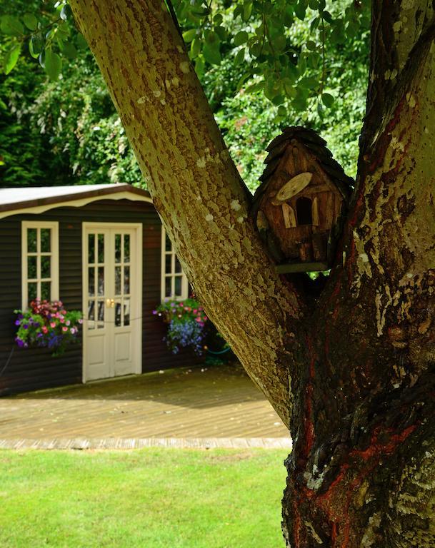 لاندودنو Ashbrook Bed And Breakfast المظهر الخارجي الصورة